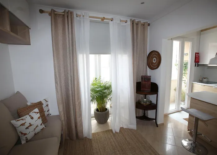 Beautiful Apartment In The City Centre T1A